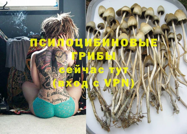 MESCALINE Алзамай