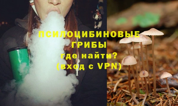 таблы Алексин